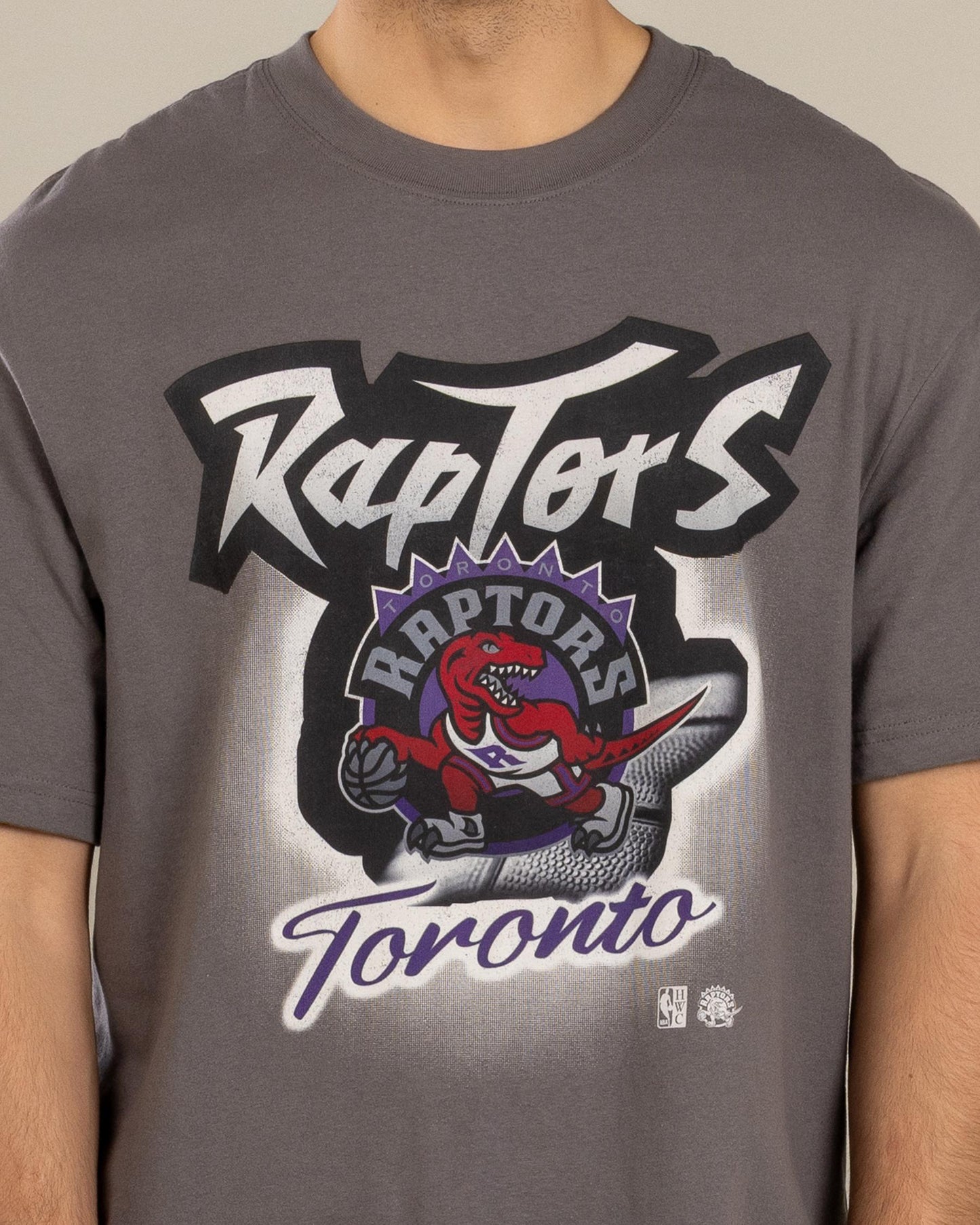 MNA-U44 (Mitchell & ness frame tee raptors granite grey) 72592391