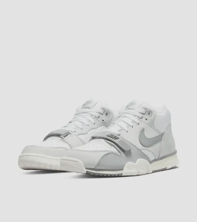 N-L136 (Nike air trainer 1 photon dust and light smoke)
