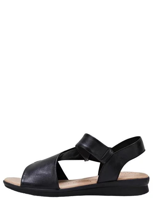 HP-V2 (Hush puppies nizki black) 102296954