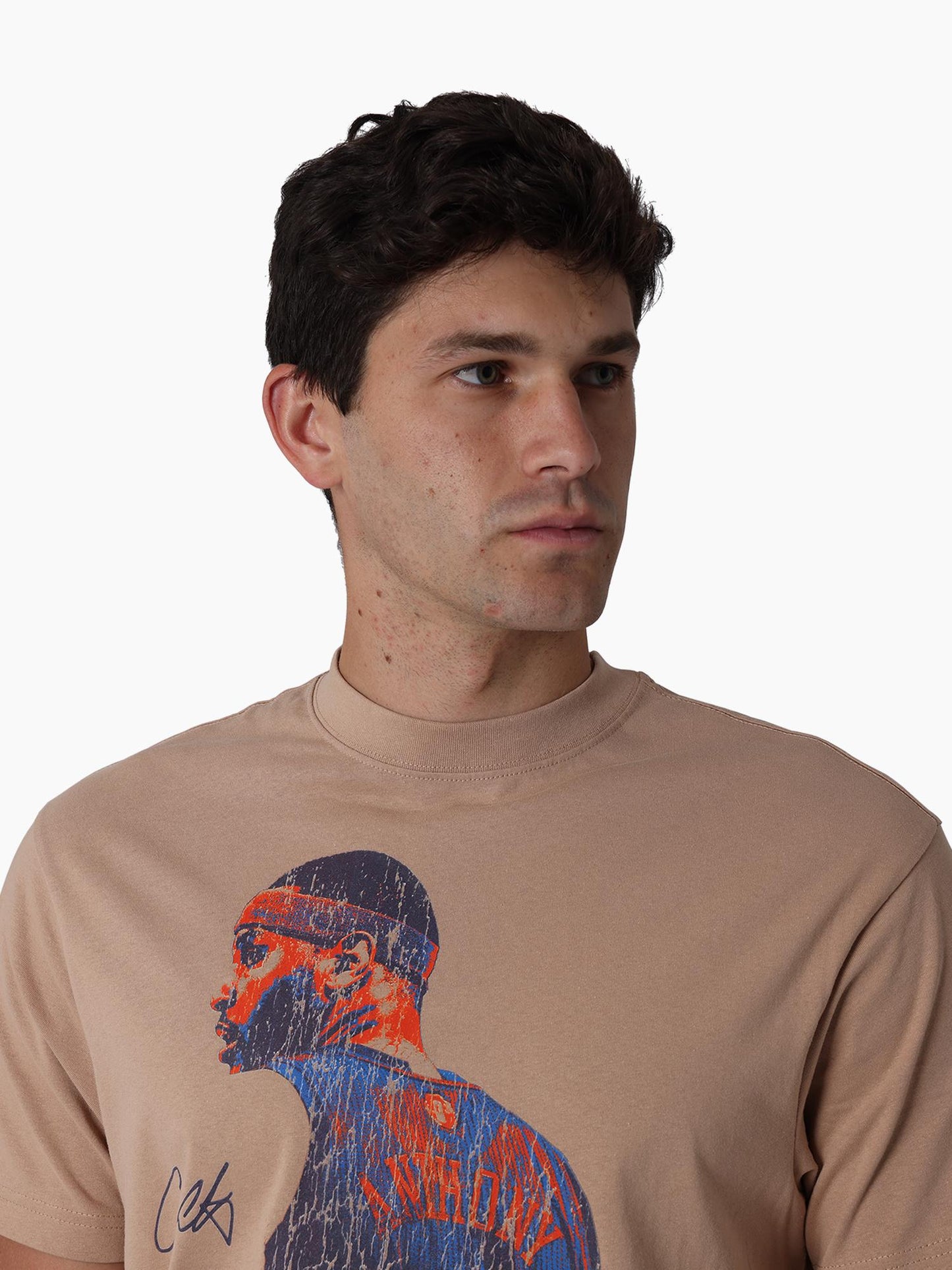 MNA-C46 (Mitchell & ness in the moment tee knicks anth warm taupe) 92593043