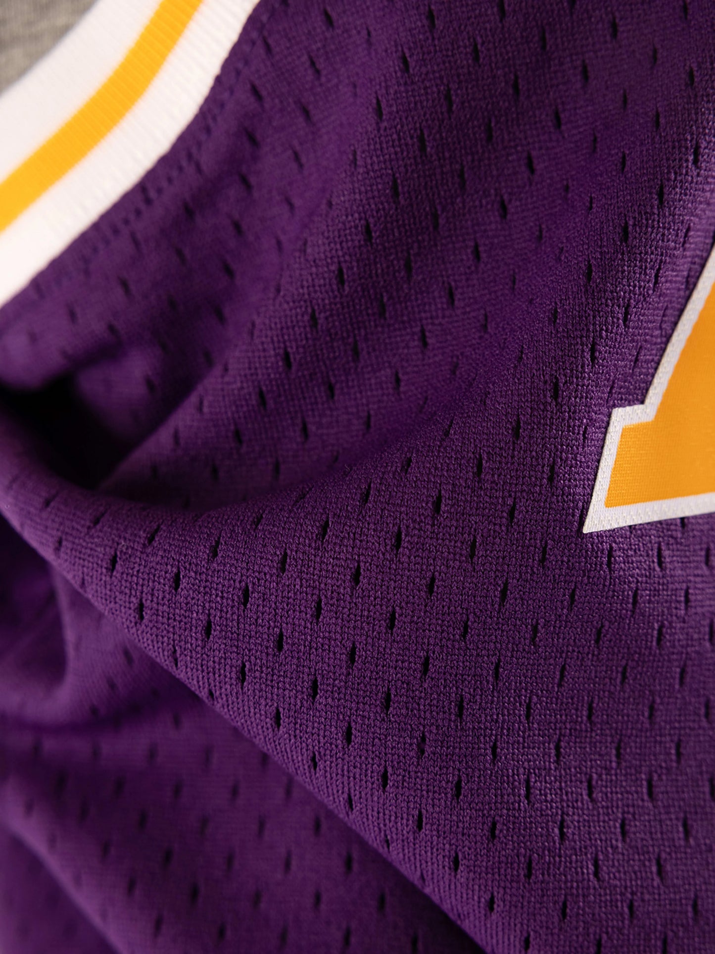 MNA-C47 (Mitchell & ness Dennis Rodman 1998-99 L.A Lakers Home Swingman Jersey purple) 92598260