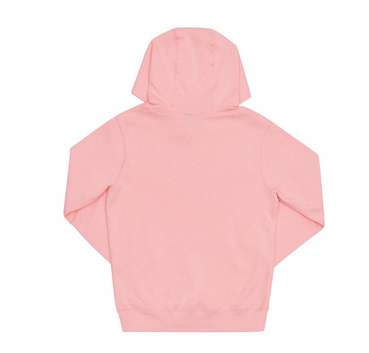 CA-E12 (Champion junior script hoodie peach schnapps)