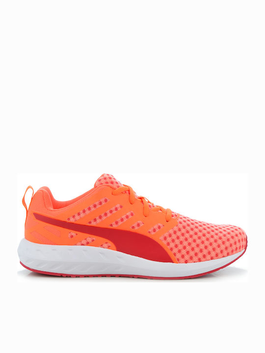 P-V31 (Puma flare women's running shoes orange) 31697156 PUMA