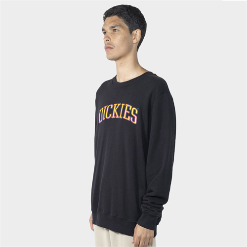 D-M5 (Dickies collegiate tri-colour crew neck sweater black) 52398695 DICKIES