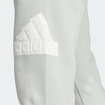 AA-Z21 (Adidas future icons badge of sport pants wonder silver) 92395115