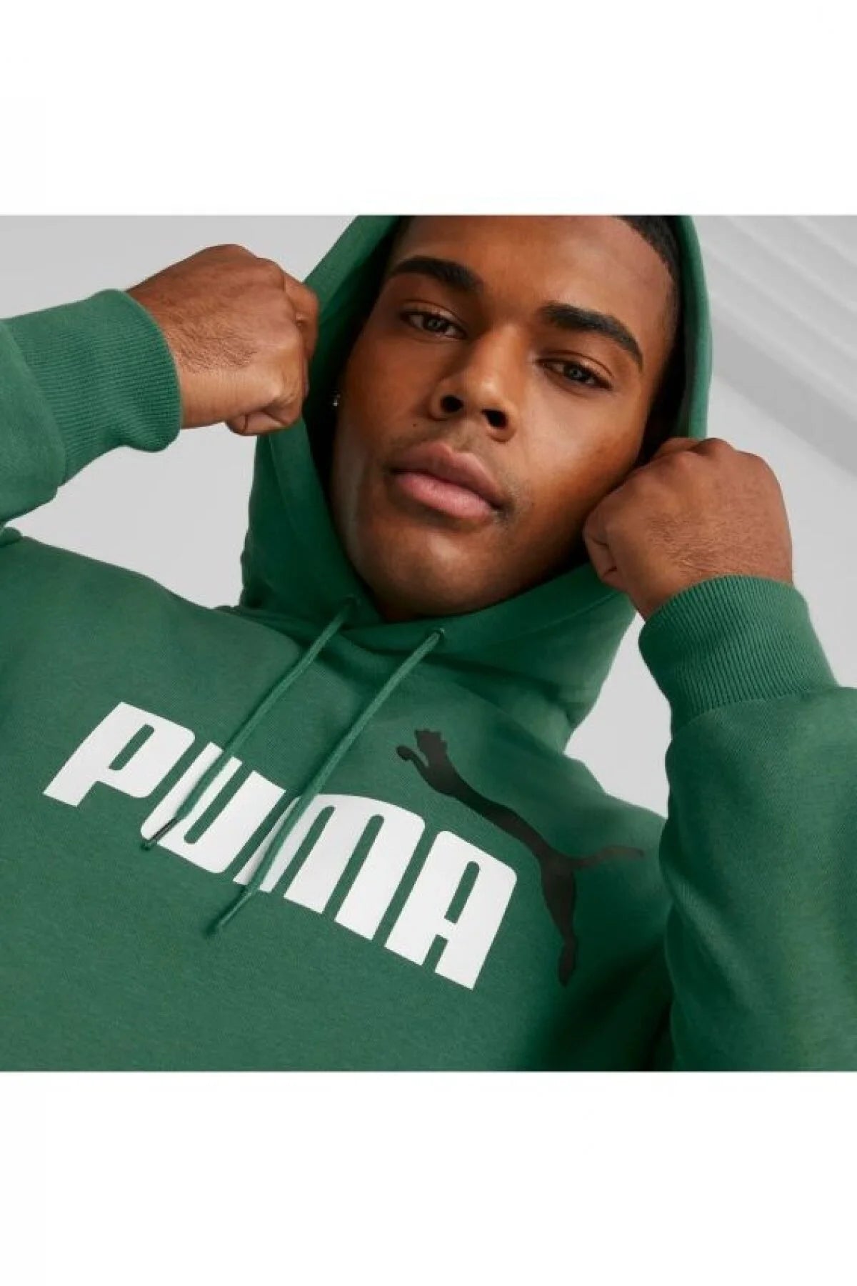 PA-Q8 (Puma essentials + 2 colour big logo fleece hoodie vine) 82394500 PUMA