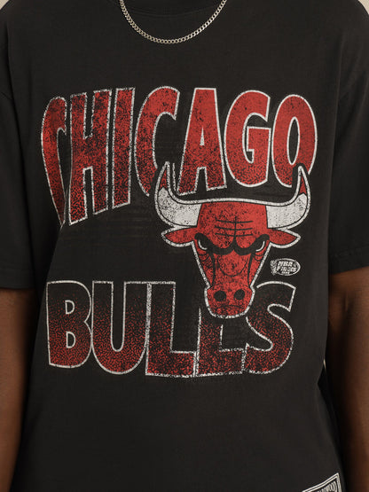 MNA-N20 (Incline stack tee bulls faded black) 52293478