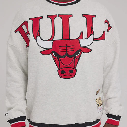 MNA-Z34 (Mitchell and ness shooting crew bulls silver marle) 22496956