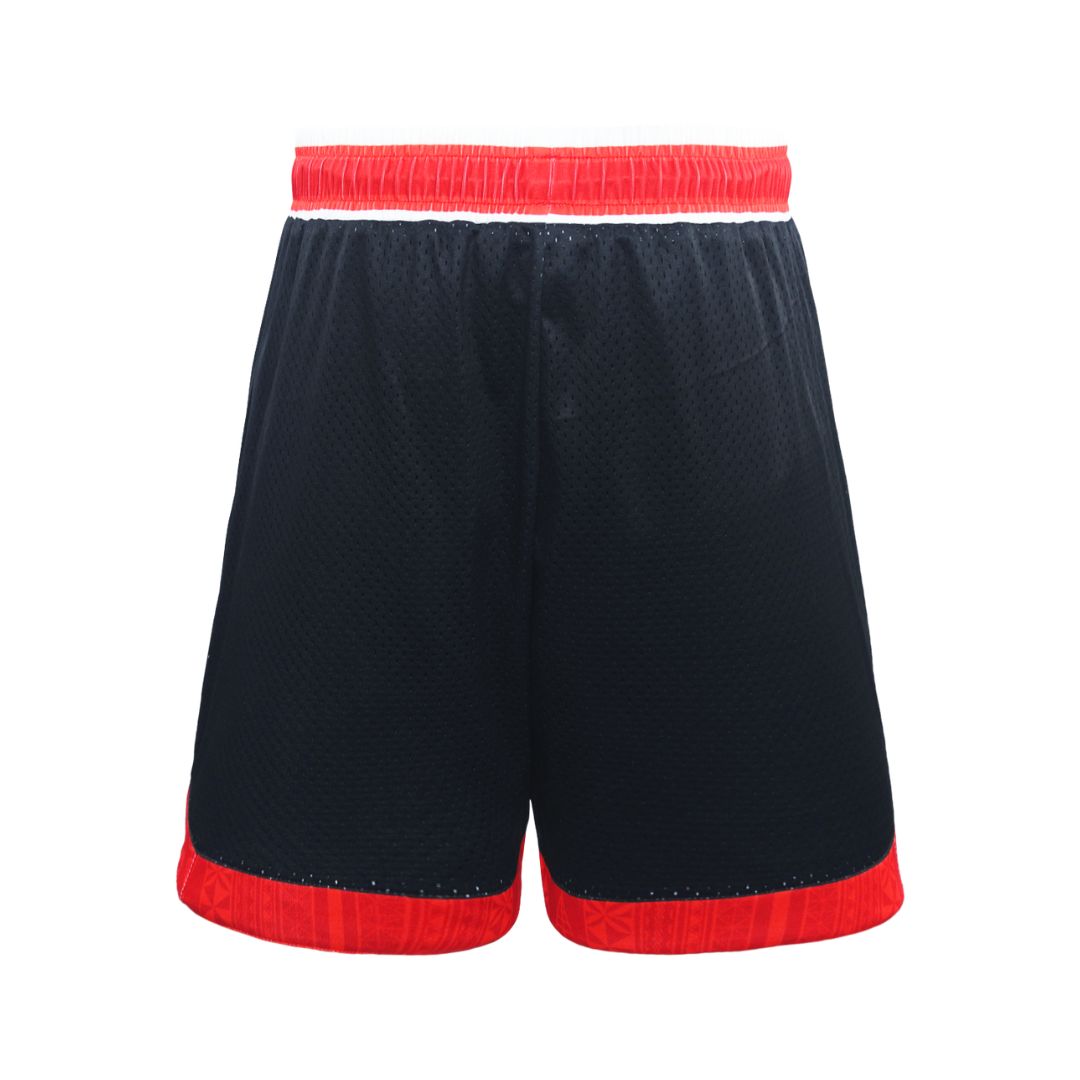 DY-E2 (Dynasty 2024 tonga rugby league mens basketball shorts) 92496260