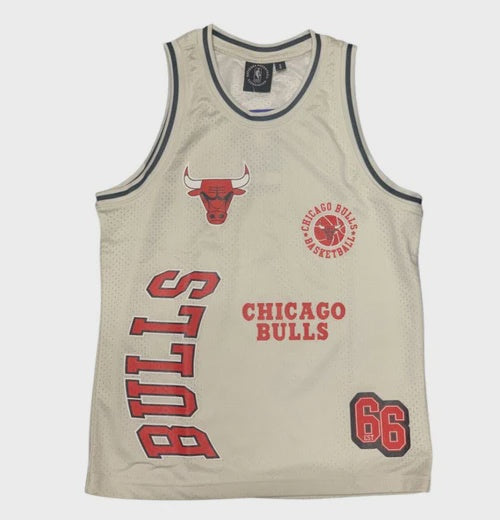 NBAA-F3 (NBA essentials youth rockford mesh tank bulls vintage white) 112393913