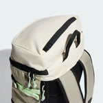 AE-B6 (Adidas xplorer backpack aluminiu/silver pebble/semi green spark/black) 12494329
