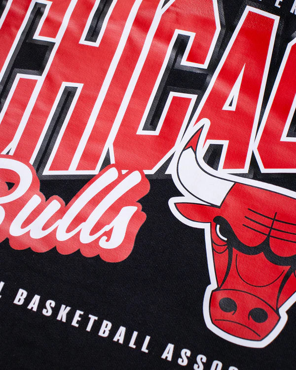 NBAA-B6 (Nba essentials clarkdale mens hoodie chicago bulls solid black) 62595217