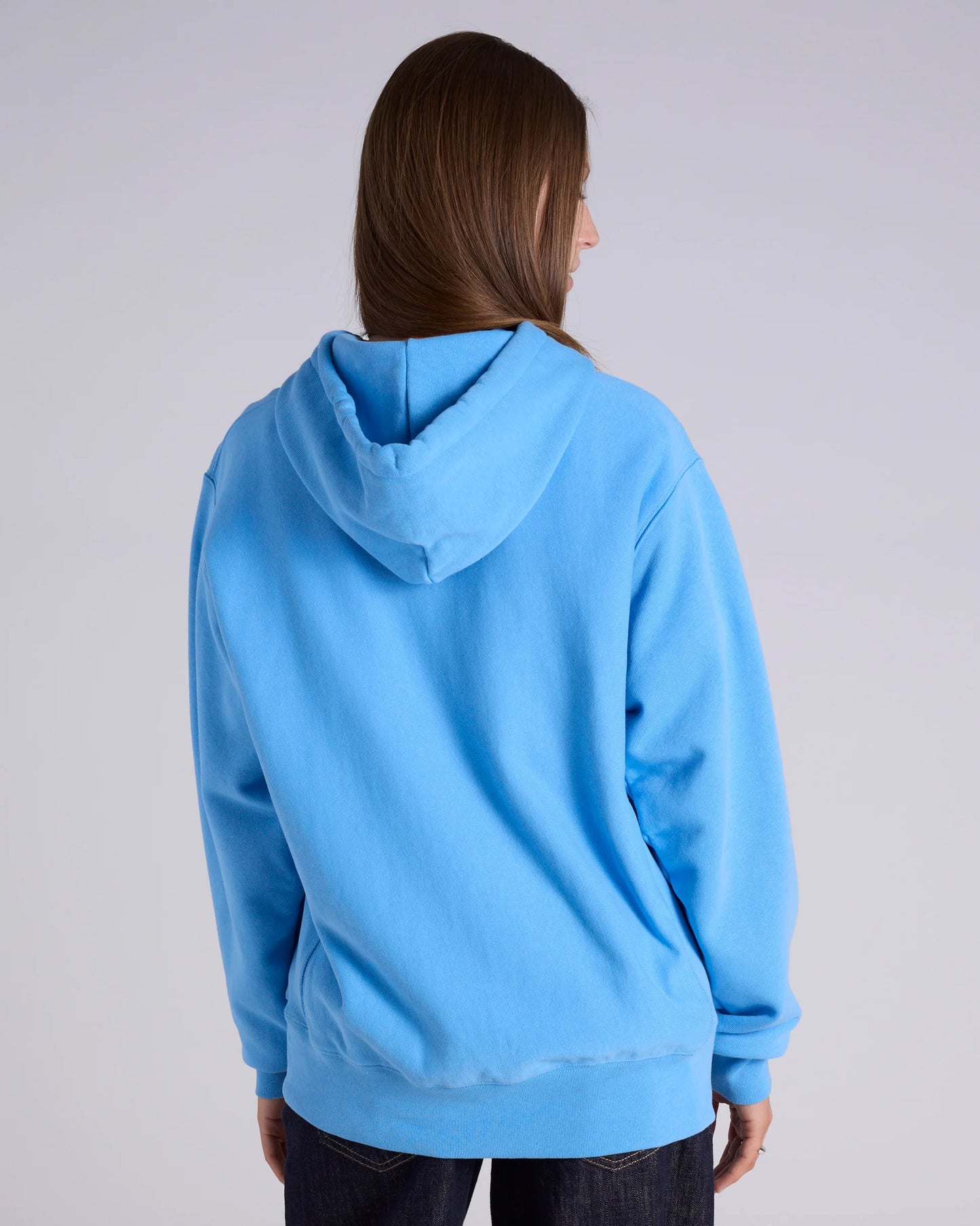CA-Q14 (Champion reverse weave terry hoodie iceberg blue) 102594782