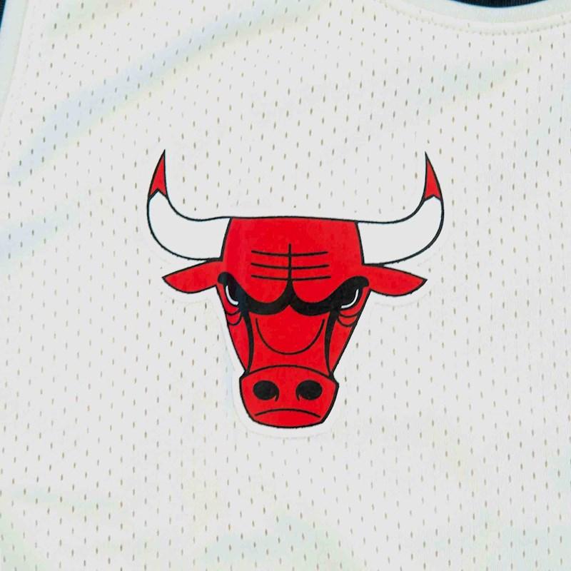 NBAA-H3 (Nba essentials rockford mesh tank bulls vintage white) 112394347