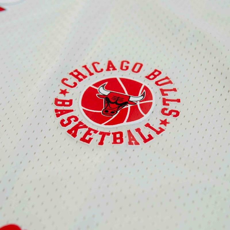 NBAA-H3 (Nba essentials rockford mesh tank bulls vintage white) 112394347