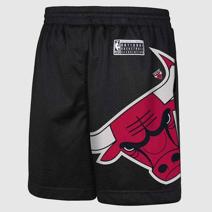 NBAA-L5 (Nba essentials hedley mesh short bull black) 82495000