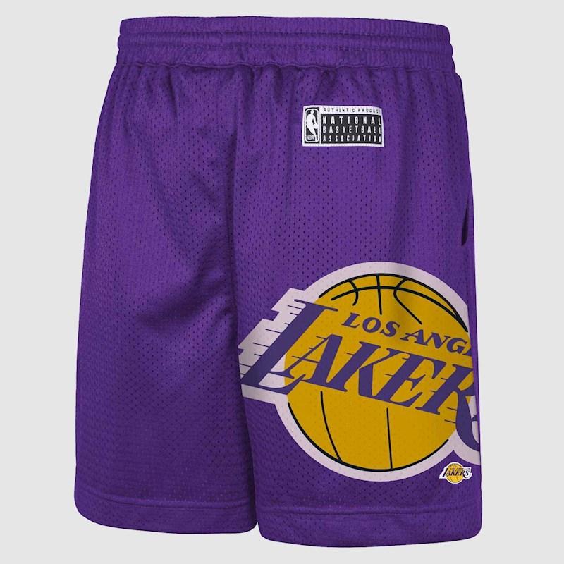 NBAA-P5 (Nba essentials hedley mesh short lakers field purple) 82495000