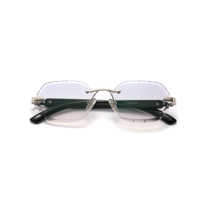 BV-B (Belvoir & co sunglasses diamond cut willow ice silver/black) 52596700