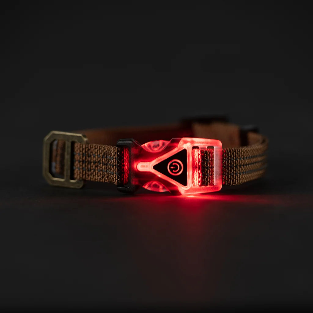 CHE-D1 (Carhartt lighted dog collar carhartt brown) 82693782