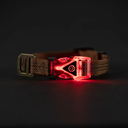 CHE-D1 (Carhartt lighted dog collar carhartt brown) 82693782