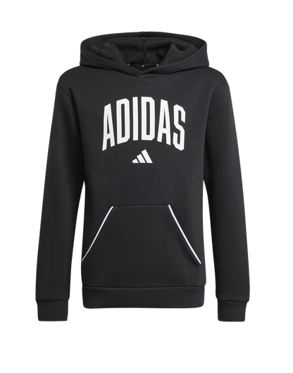 AA-B29 (Adidas kids collegiate typography hoodie black/white) 72594095