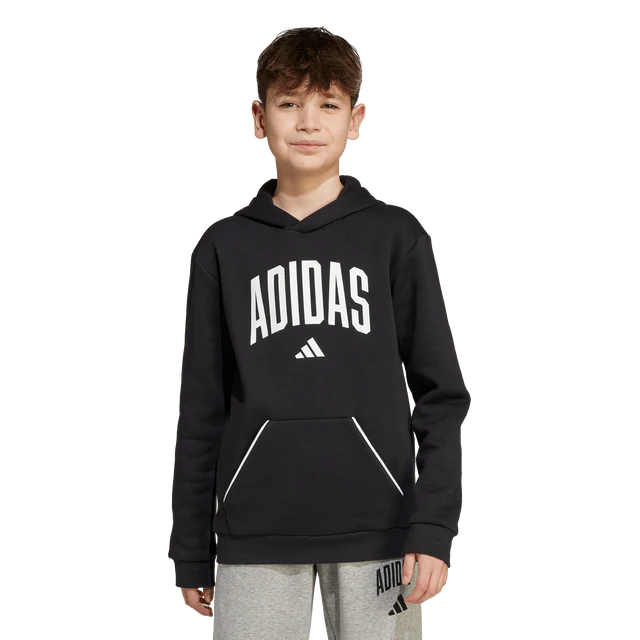 AA-B29 (Adidas kids collegiate typography hoodie black/white) 72594095