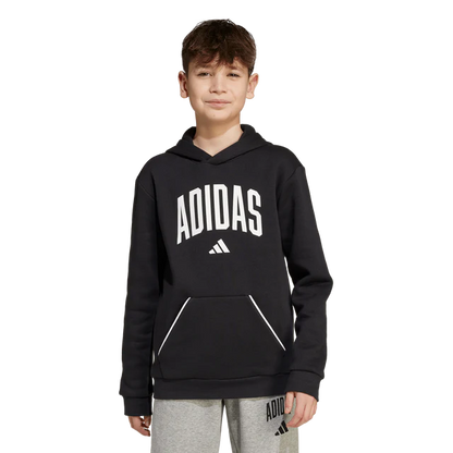 AA-B29 (Adidas kids collegiate typography hoodie black/white) 72594095