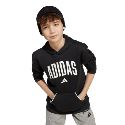 AA-B29 (Adidas kids collegiate typography hoodie black/white) 72594095