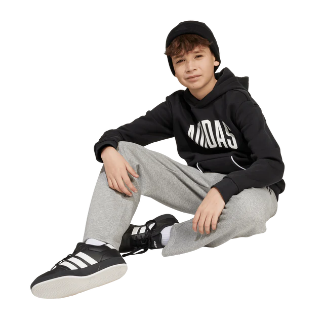 AA-B29 (Adidas kids collegiate typography hoodie black/white) 72594095