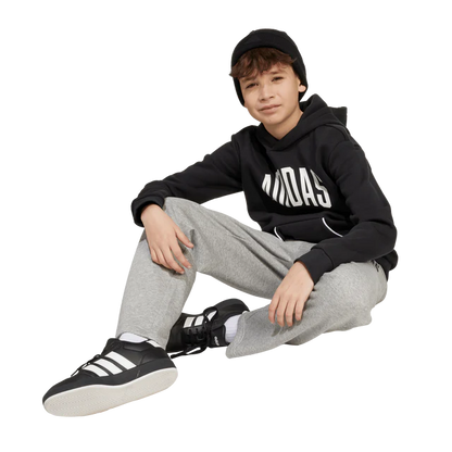AA-B29 (Adidas kids collegiate typography hoodie black/white) 72594095