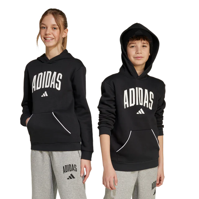 AA-B29 (Adidas kids collegiate typography hoodie black/white) 72594095