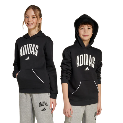 AA-B29 (Adidas kids collegiate typography hoodie black/white) 72594095