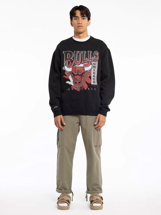 MNA-L26(Mitchell and ness paintbrush crew bulls faded black) 42396087