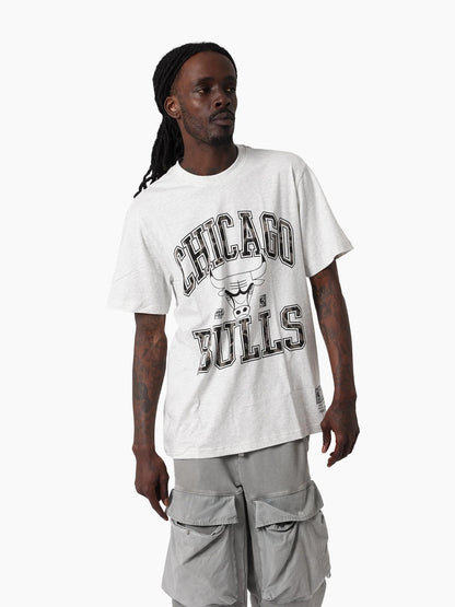 MNA-B49 (Mitchell & ness leopard arch tee chicago bulls silver marle) 112592391