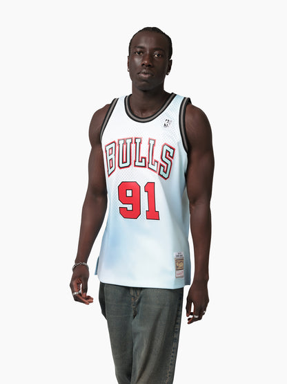 MNA-G51 (Mitchell and ness wrhse rave swingman jersey chicago bulls dennis rodman baby blue) 42699130
