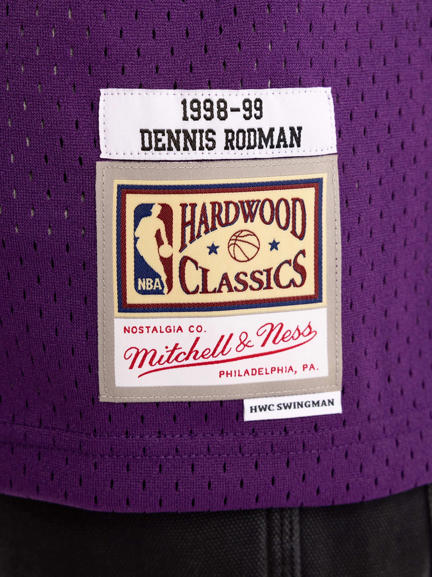 MNA-C47 (Mitchell & ness Dennis Rodman 1998-99 L.A Lakers Home Swingman Jersey purple) 92598260