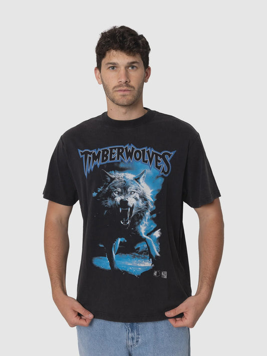 MNA-Q46 (Mitchell and ness play off merch tee timberwolves faded slate) 92593043