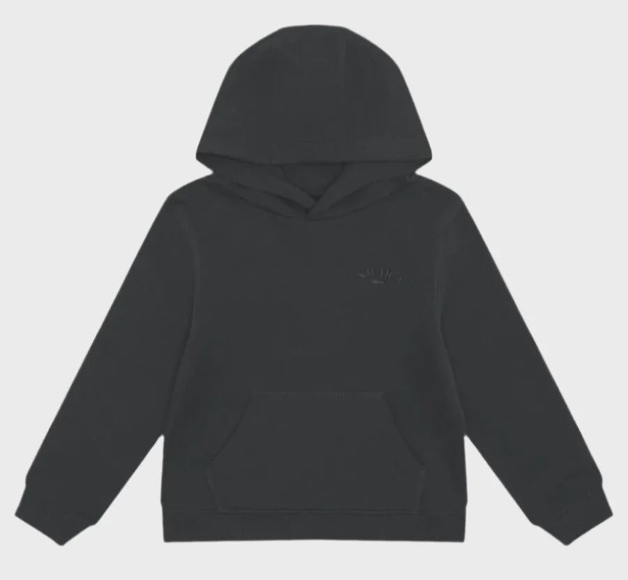 NTA-J13 (Nautica realm big & tall hoodie navy) 82596957