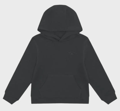 NTA-J13 (Nautica realm big & tall hoodie navy) 82596957