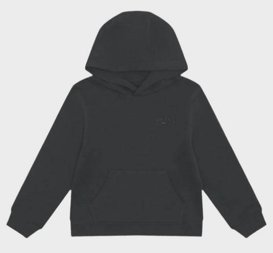 NTA-J13 (Nautica realm big & tall hoodie navy) 82596957