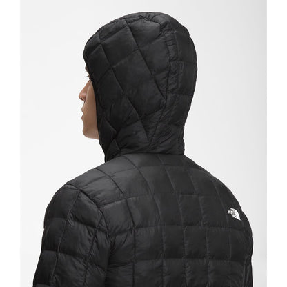 NFA-O1 (The north face  thermoball eco 2.0 hooded jacket -black) 523916087 THE NORTH FACE