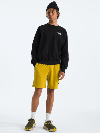 NFA-L8 (The north face men's evolution vintage crew black/white) 92595217