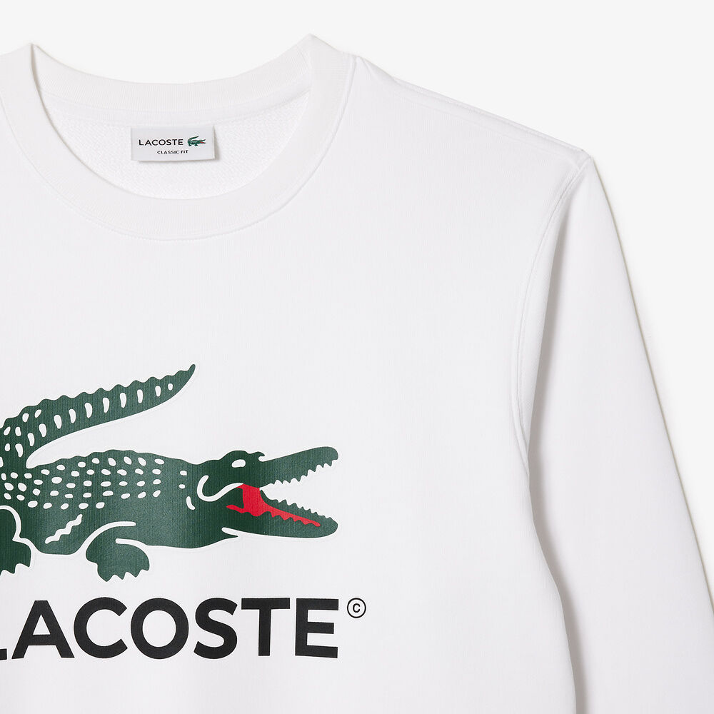 LCA-T20 (Lacoste core originals nb crewneck sweatshirt white) 1124913478