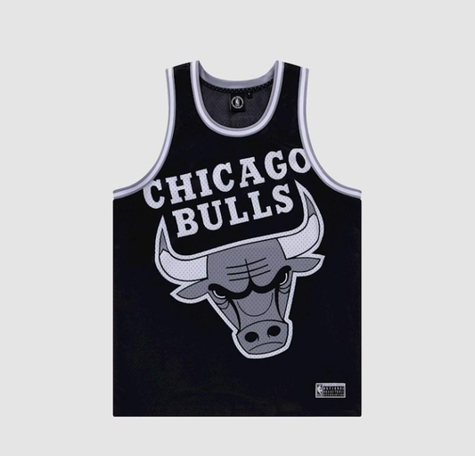 NBAA-K4 (Nba essentials apollo mesh tank bulls black) 12494782