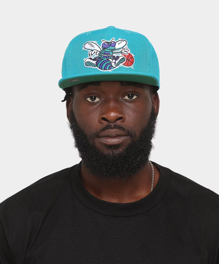 MNA-W27 (Mitchell and ness team ground 2.0 fitted hwc hat hornets teal) 52392824