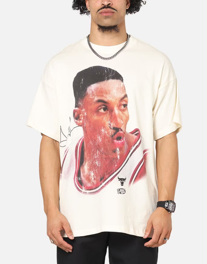 MNA-T44 (Mitchell & ness big head pippen tee egret) 72593043