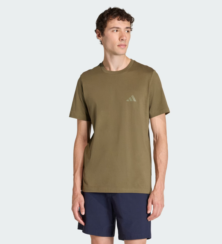 AA-X29 (Adidas terrex mountain graphic t-shirt olive strata) 12693125