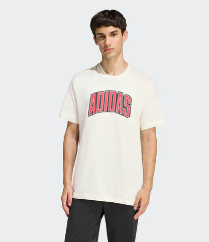 AA-J30 (Adidas stadium collegiate graphic t-shirt off white) 22692406