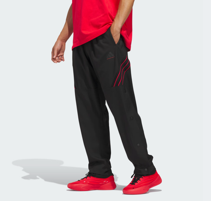 AA-N31 (Adidas crazy lite pants black/pure ruby) 32696257