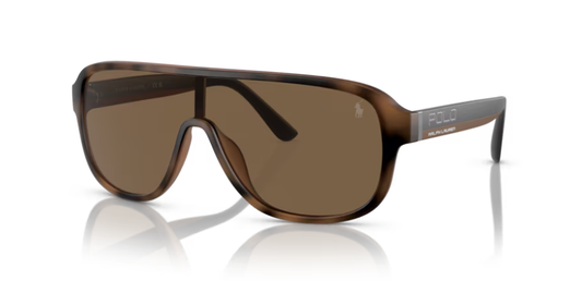 RL-A (Polo ralph lauren matte havana brown frame/brown lenses) 326910484
